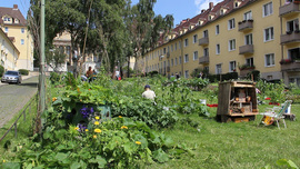 Der Huttenplatz nach der Umgestaltung