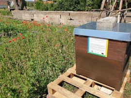 Welterbe-Garten-Bienen sind auf H43 angekommen!