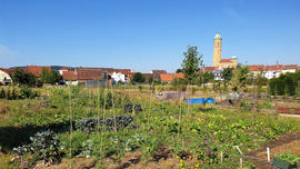 Welterbe-Garten der Gärtnerstadt Bamberg