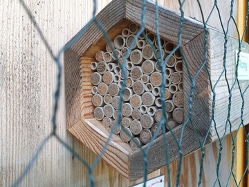 Wildbienen-Nisthilfe mit Pappröhrchen