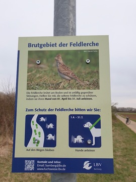 Tafel in den Buger Wiesen "Brutgebiet der Feldlerche"